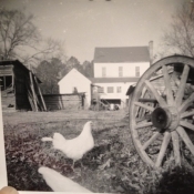 Old pic of house, unknown date